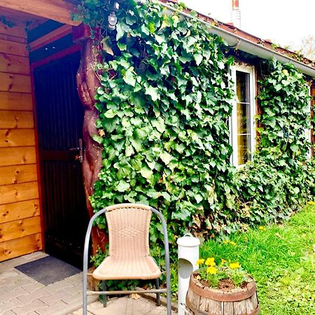 Dovolenkovy Dom Ela Pets Friendly Apartment Попрад Екстериор снимка